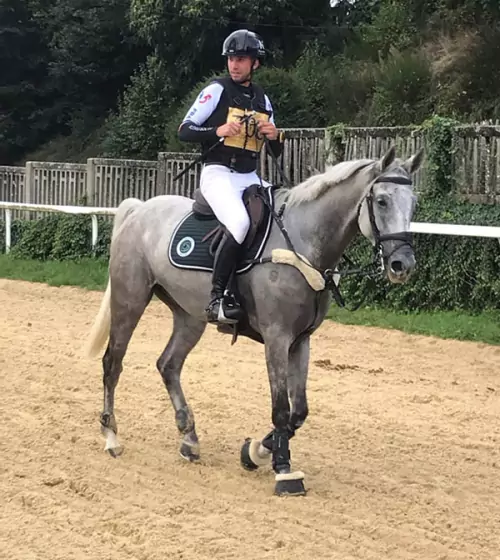 douleurs-ligamentaires-cheval