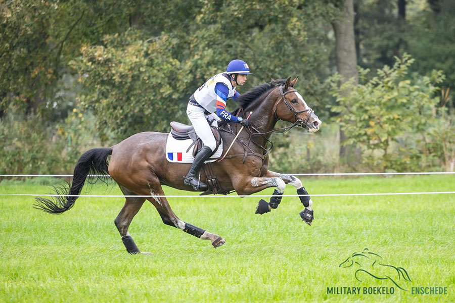 magnetiseur-magnetisme-chevaux-douleurs